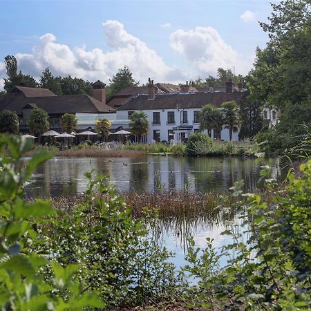 Frensham Pond Country House Hotel & Spa 파넘 외부 사진