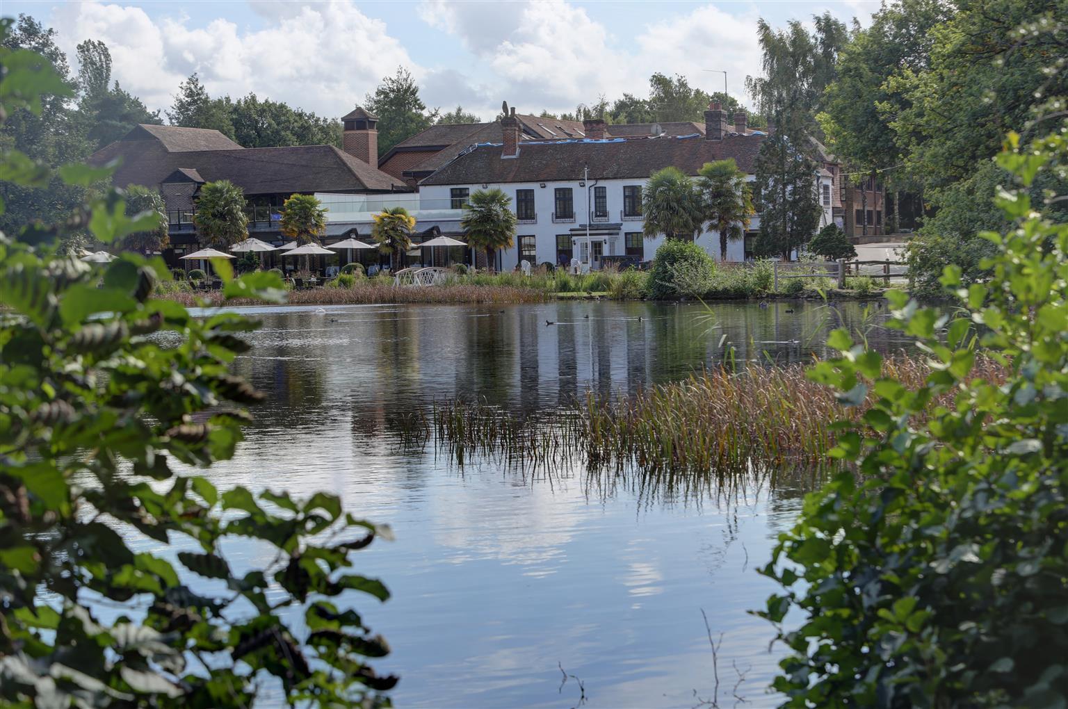 Frensham Pond Country House Hotel & Spa 파넘 외부 사진